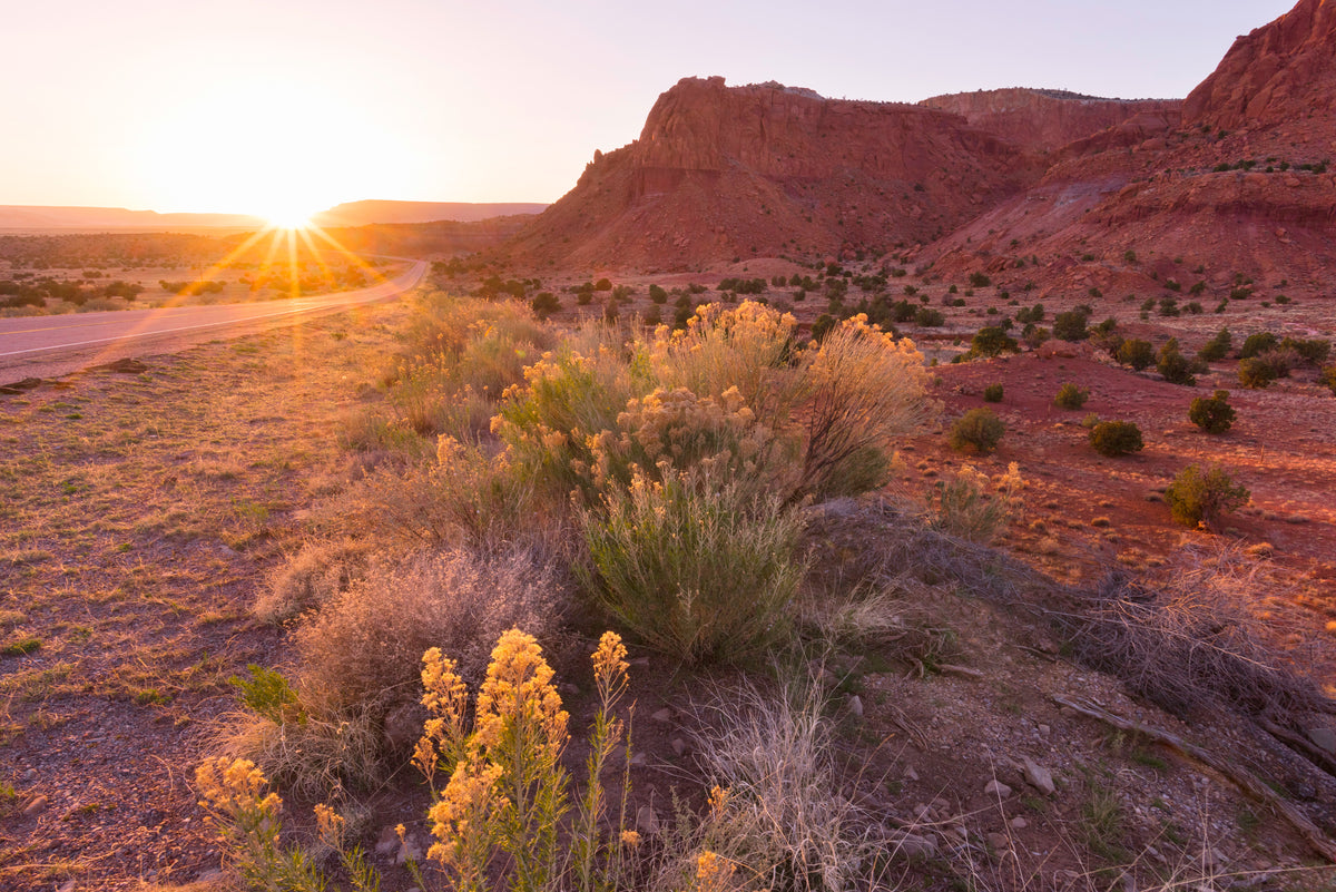 Santa Fe: the sun setting over a desert road, red-rock mesas rising behind golden-flowering brush.
